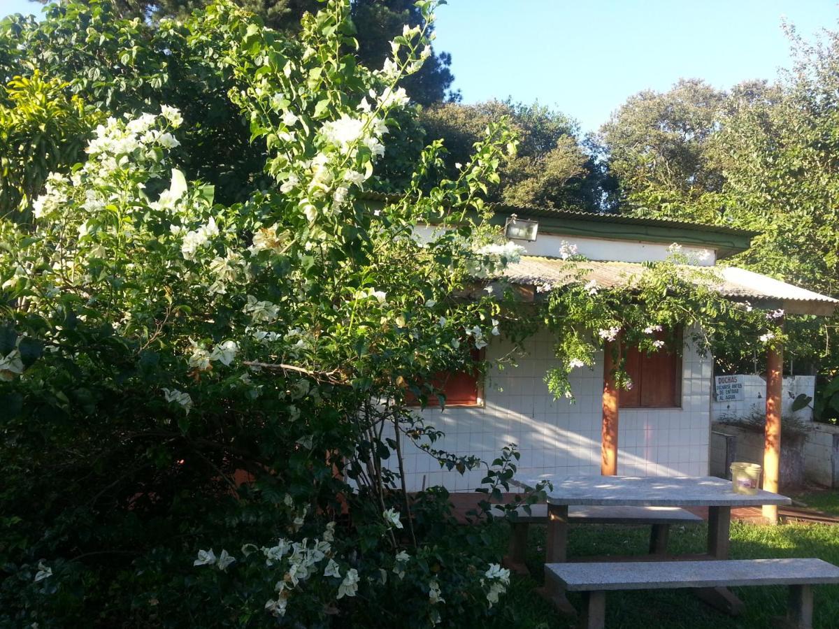 Hotel Los Amigos Πουέρτο Ιγκουασού Εξωτερικό φωτογραφία