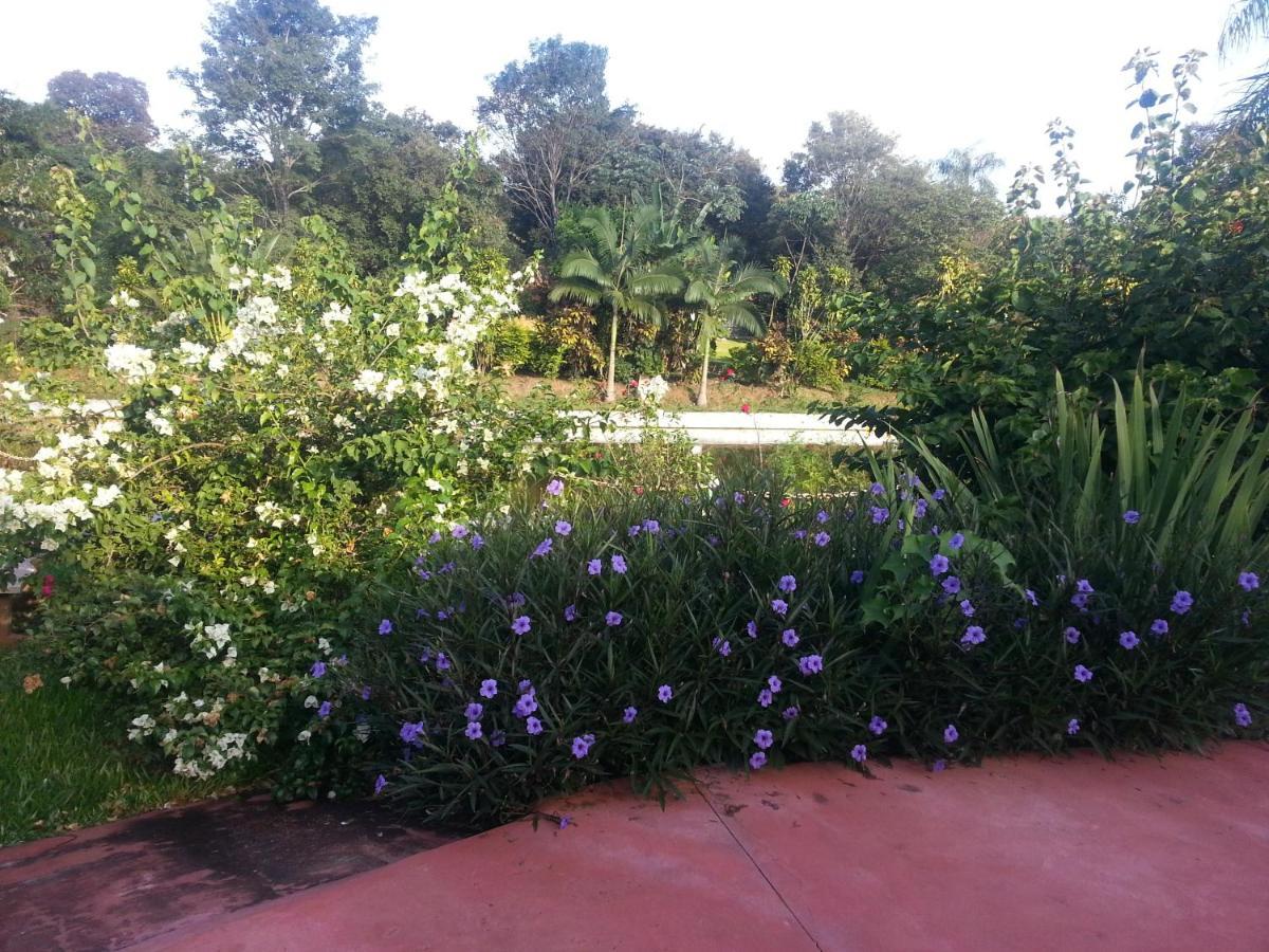 Hotel Los Amigos Πουέρτο Ιγκουασού Εξωτερικό φωτογραφία