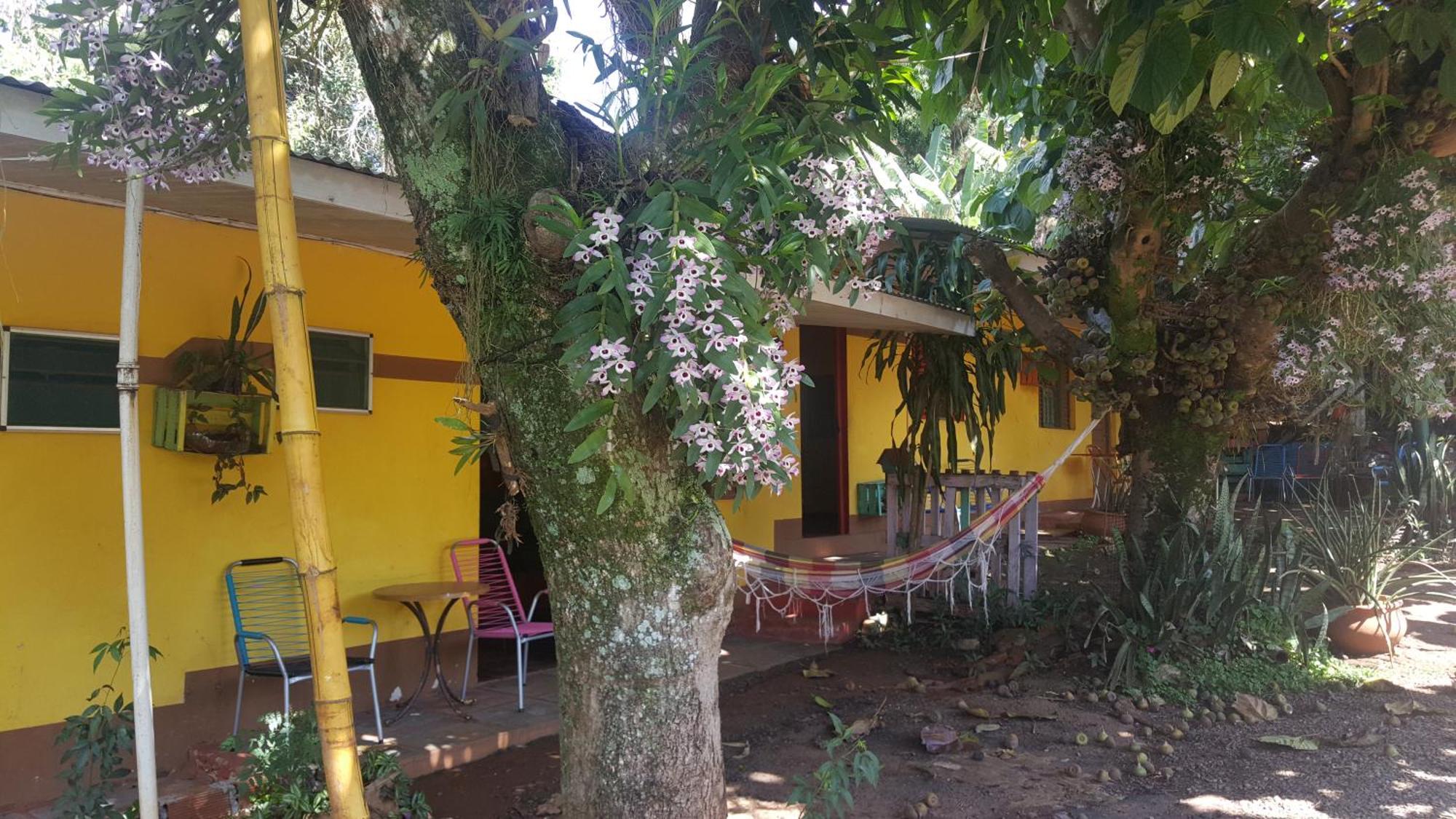 Hotel Los Amigos Πουέρτο Ιγκουασού Εξωτερικό φωτογραφία